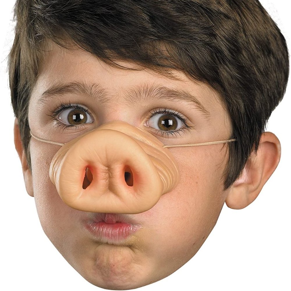 Nose Pig Kids Costume